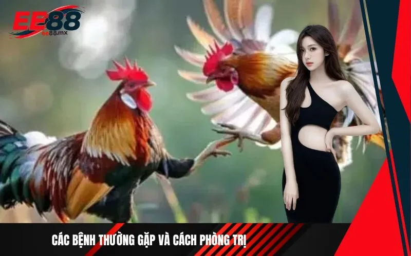 Các bệnh thường gặp và cách phòng trị