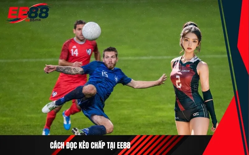 Cách đọc kèo chấp tại Ee88