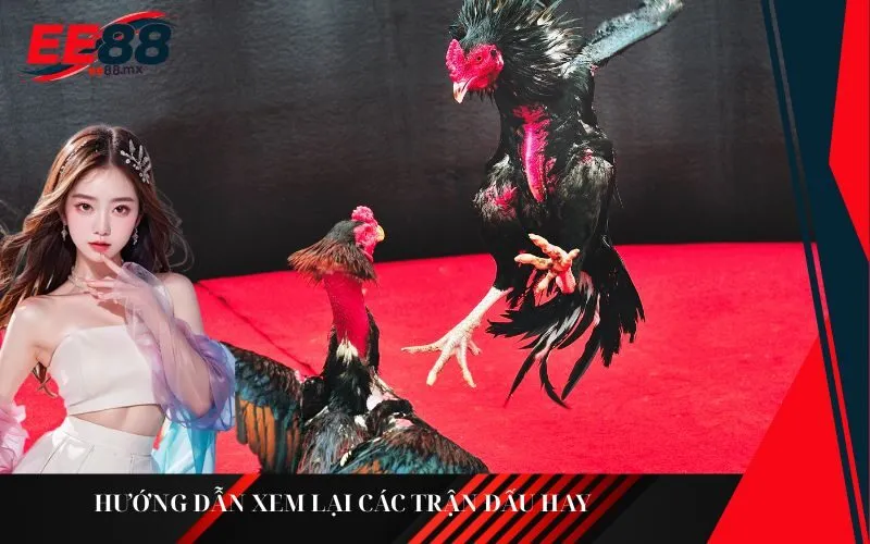 Hướng dẫn xem lại các trận đấu hay