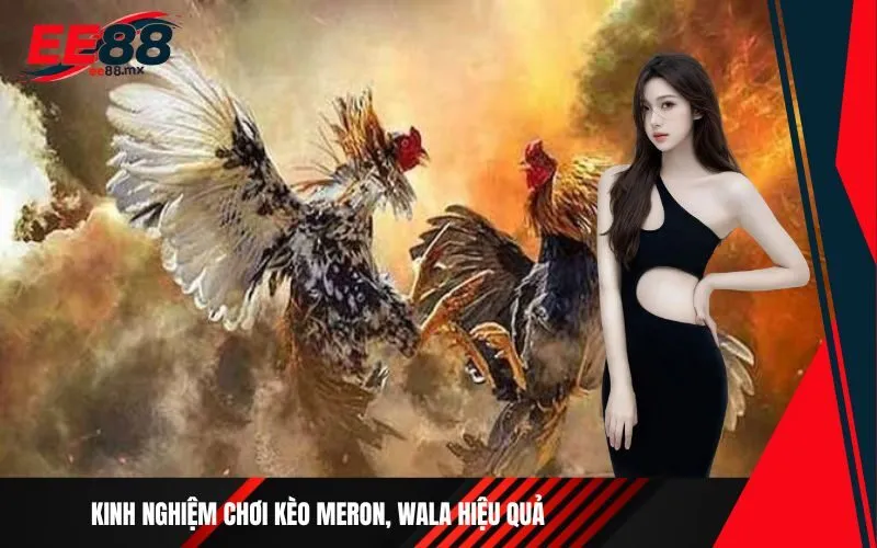 Kinh nghiệm chơi kèo Meron, Wala hiệu quả