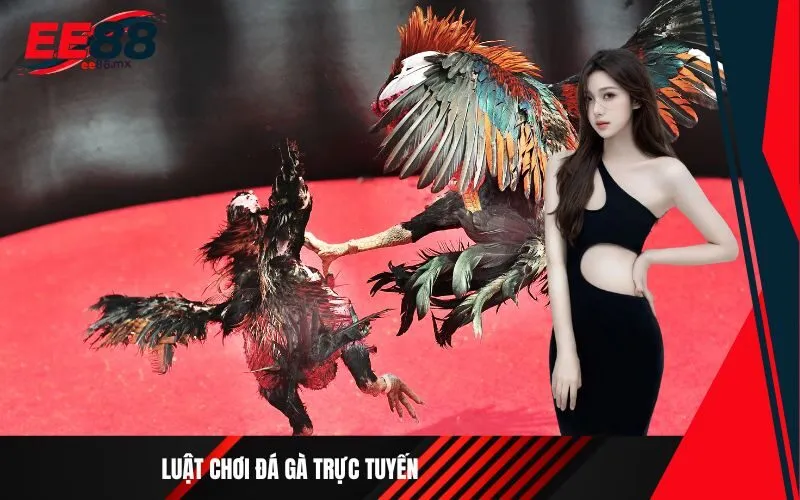Luật chơi đá gà trực tuyến