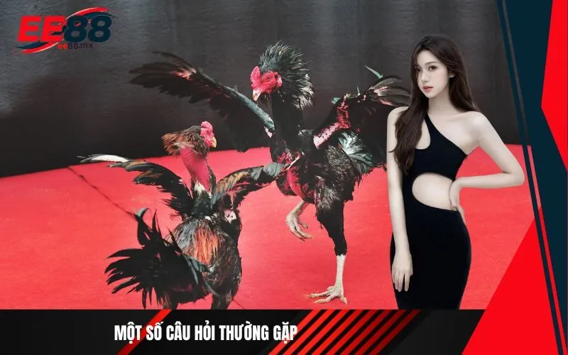 Một số câu hỏi thường gặp